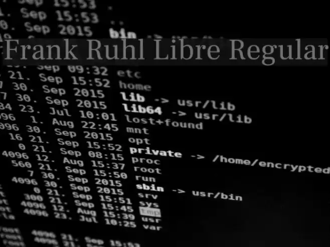 Frank Ruhl Libre Regular Font examples