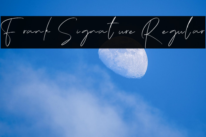 Frank Signature Regular Example 2