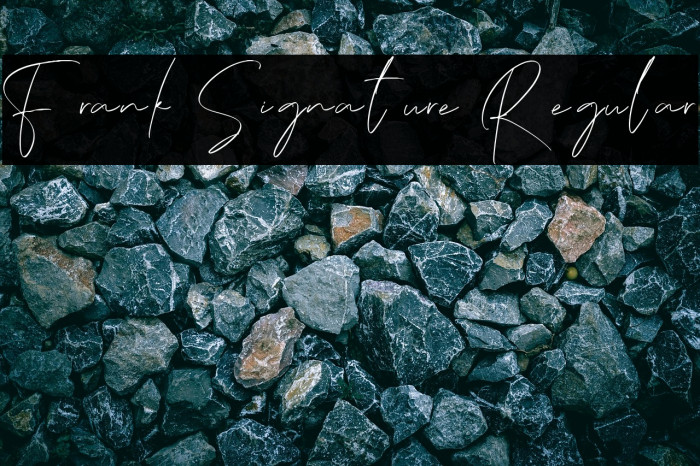 Frank Signature Regular Example 3