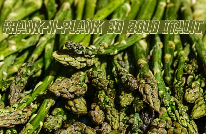 Frank-n-Plank 3D Bold Italic Example 2