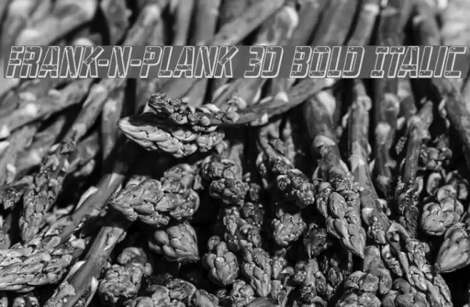 Frank-n-Plank 3D Bold Italic Font examples