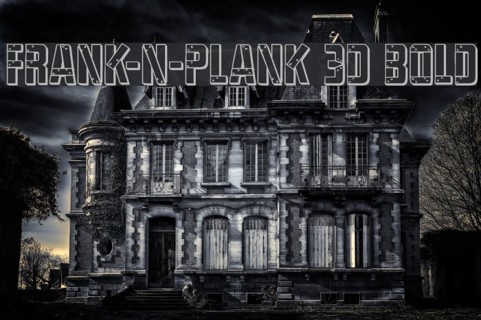 Frank-n-Plank 3D Bold Example 2