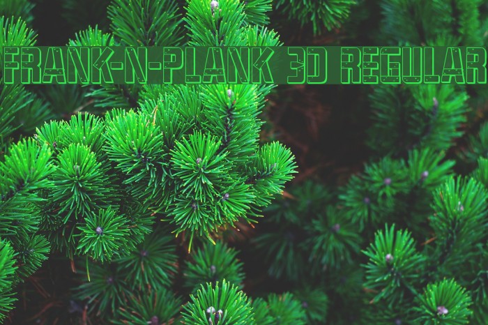 Frank-n-Plank 3D Regular Example 3