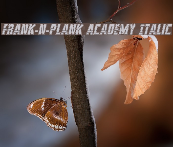 Frank-n-Plank Academy Italic Font examples
