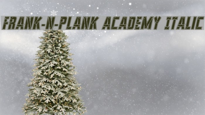 Frank-n-Plank Academy Italic Font examples
