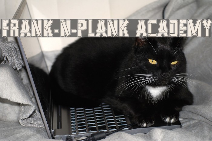 Frank-n-Plank Academy Font examples