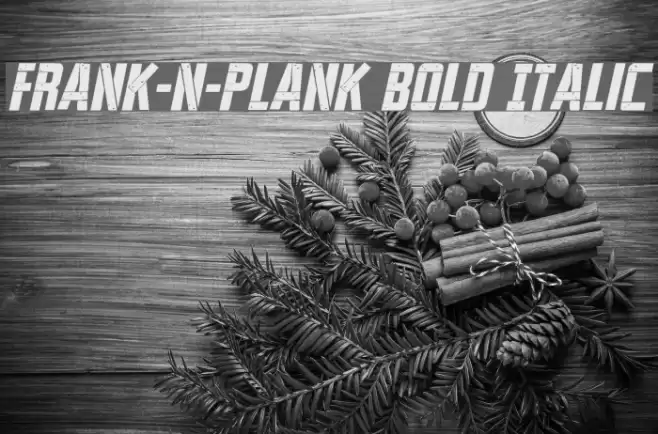 Frank-n-Plank Bold Italic Font examples