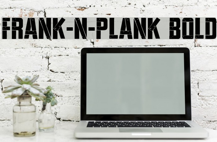 Frank-n-Plank Bold Font examples