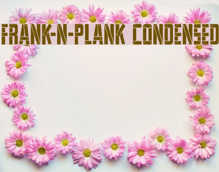 Frank-n-Plank Condensed Example 1