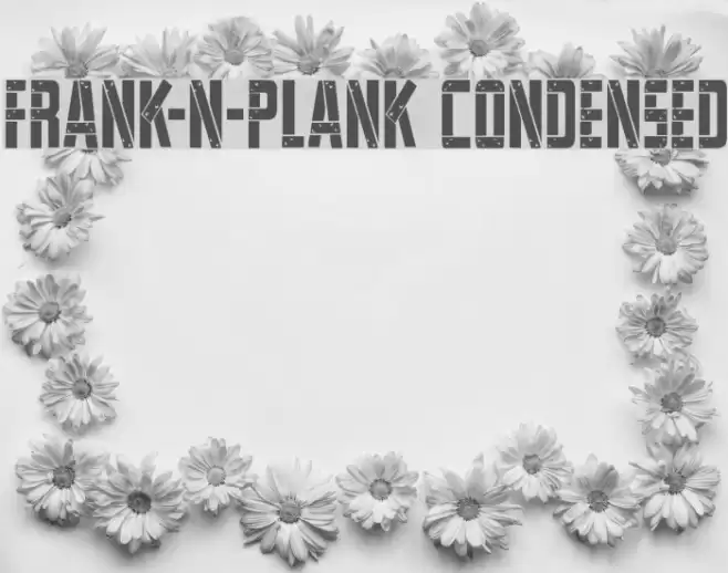 Frank-n-Plank Condensed Font examples