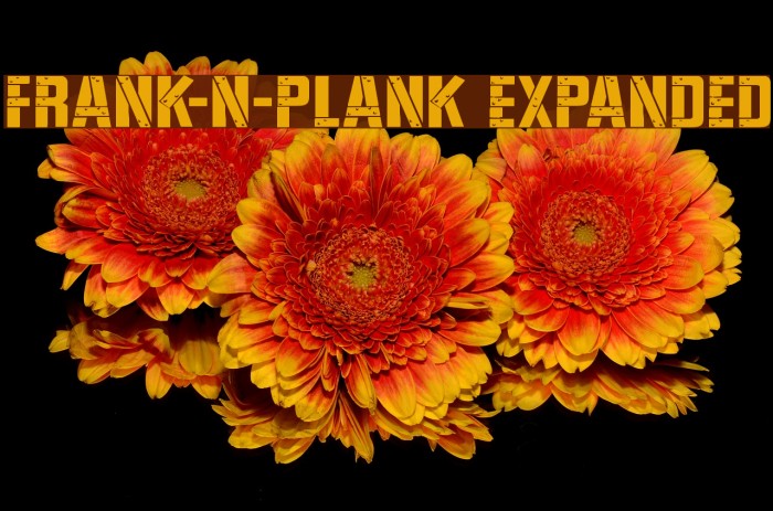 Frank-n-Plank Expanded Font examples