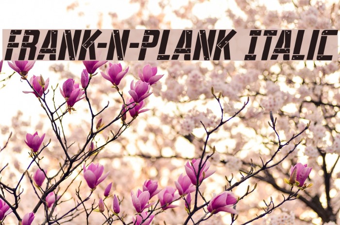 Frank-n-Plank Italic Font examples