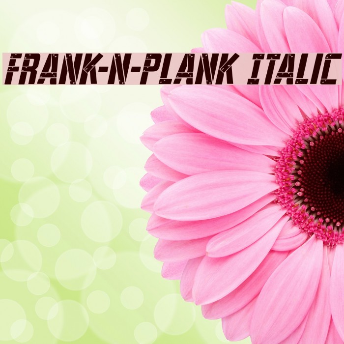 Frank-n-Plank Italic Font examples
