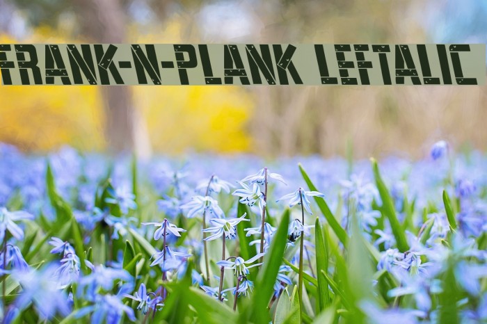 Frank-n-Plank Leftalic Example 1