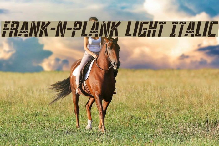 Frank-n-Plank Light Italic Example 1