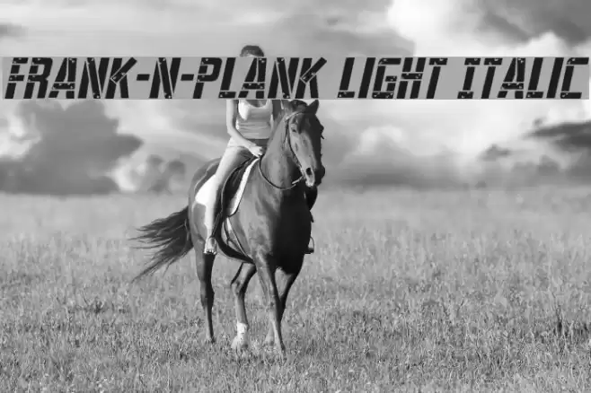 Frank-n-Plank Light Italic Font examples