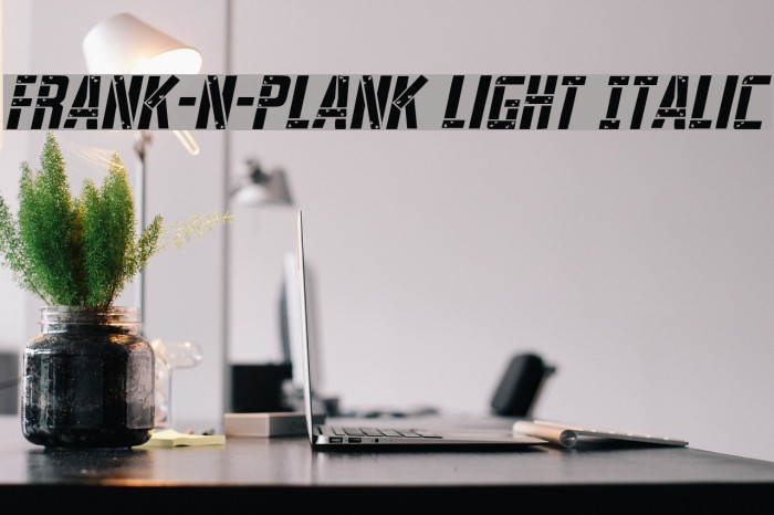 Frank-n-Plank Light Italic Example 2