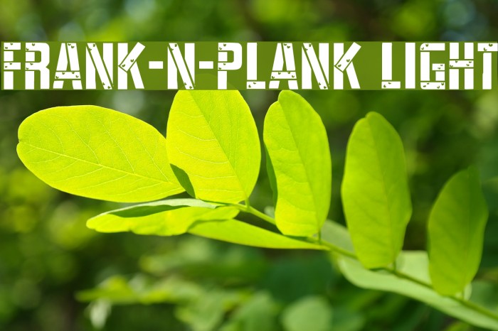 Frank-n-Plank Light Example 3