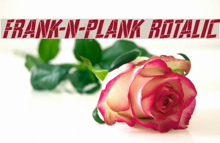Frank-n-Plank Rotalic Font examples