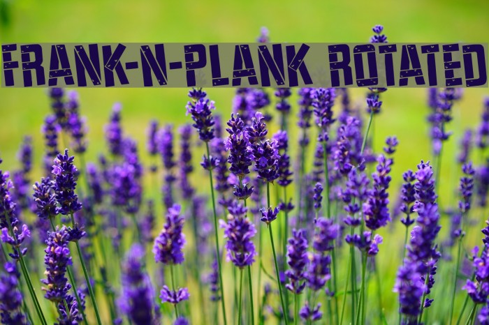 Frank-n-Plank Rotated Font examples