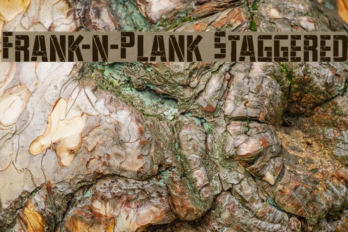 Frank-n-Plank Staggered Font examples