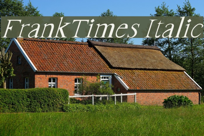 FrankTimes Italic Font examples