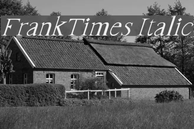FrankTimes Italic  examples