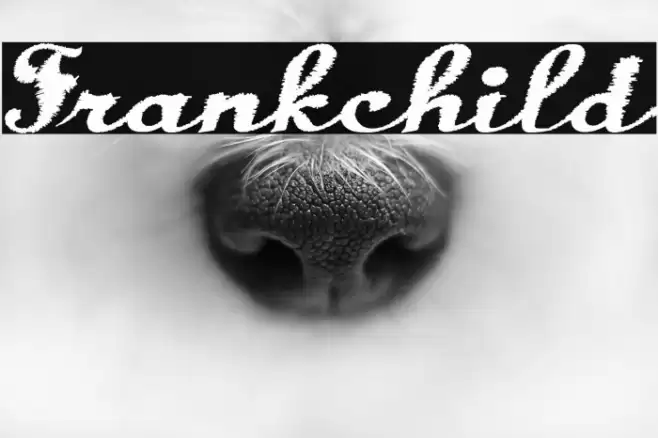 Frankchild Font examples
