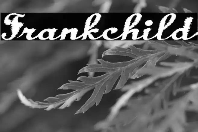 Frankchild Font examples