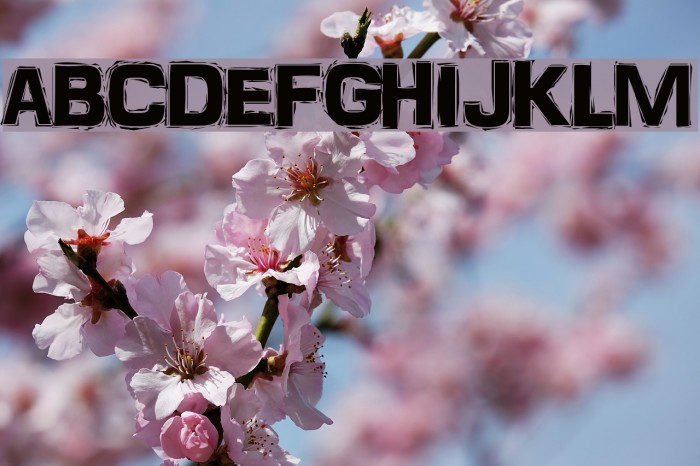 FrankenTOHO Font examples