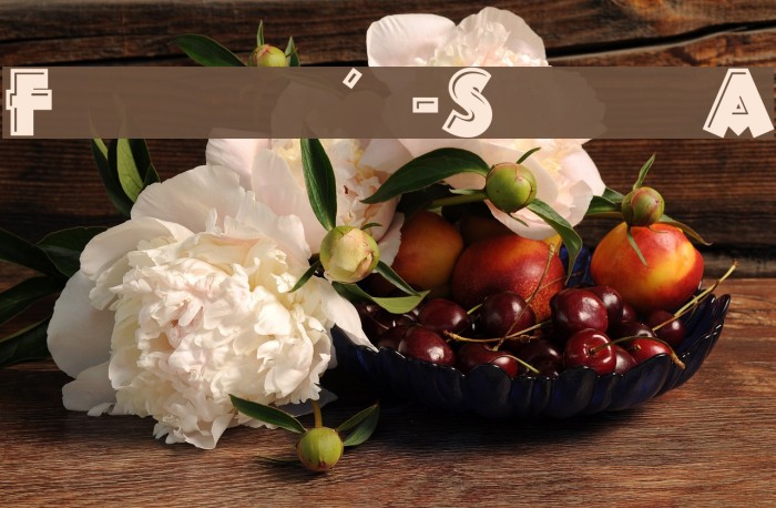 Franken's-SteinA Example 1