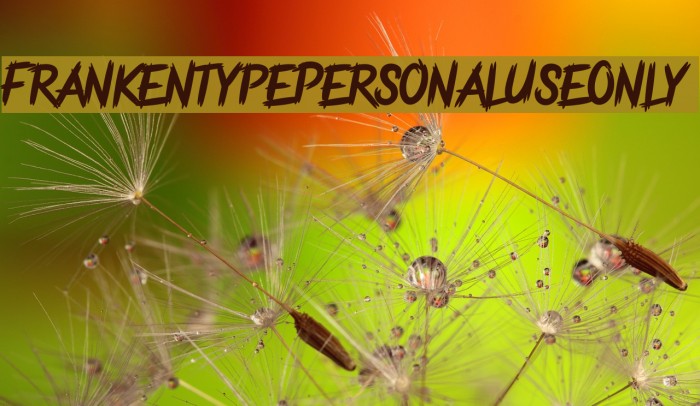 FrankentypePersonalUseOnly Fuentes examples