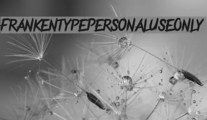 FrankentypePersonalUseOnly Polices examples