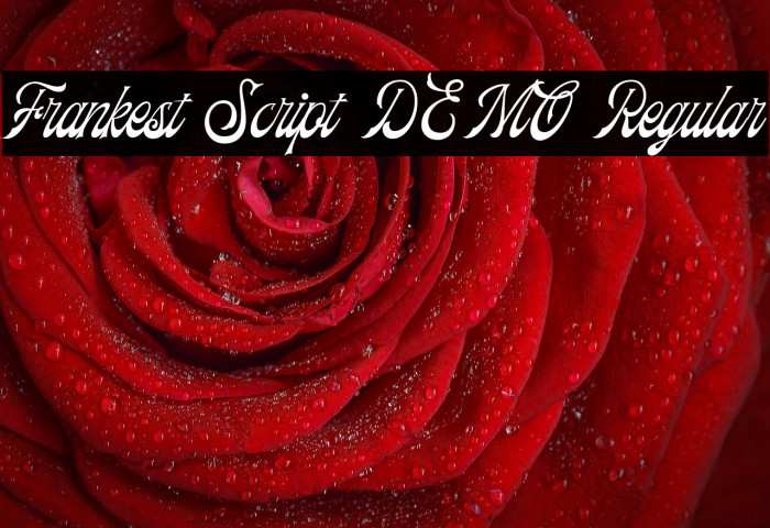 Frankest Script DEMO Regular Example 1