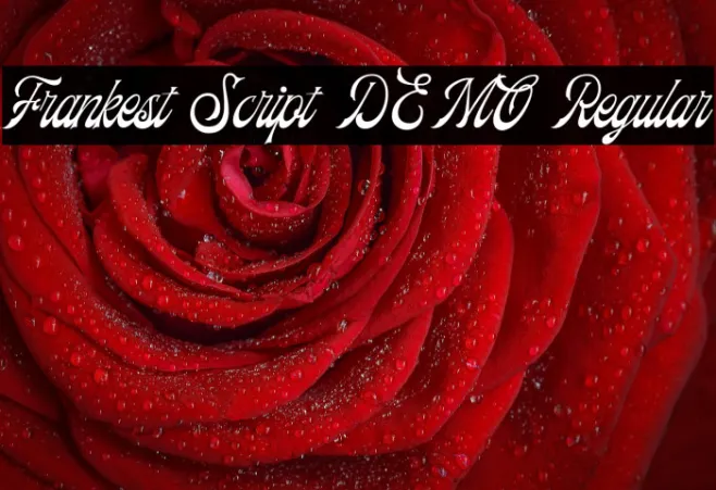 Frankest Script DEMO Regular Example 1