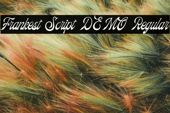 Frankest Script DEMO Regular Example 3