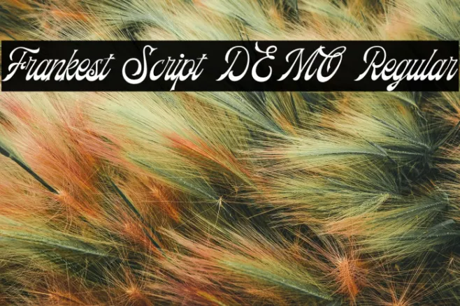 Frankest Script DEMO Regular Example 3
