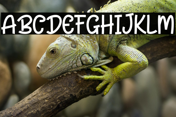 Frankie Healthy Example 1