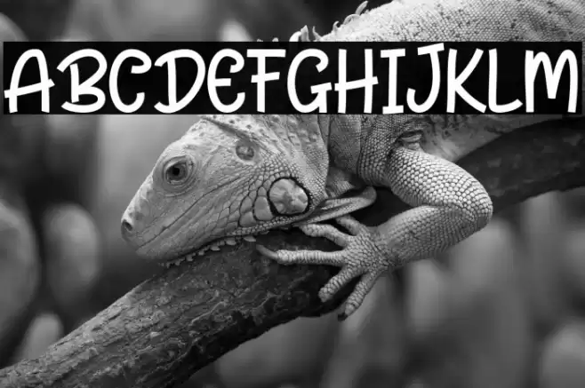 Frankie Healthy Font examples