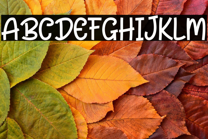 Frankie Healthy Example 2