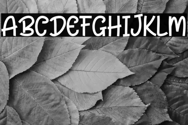 Frankie Healthy Font examples