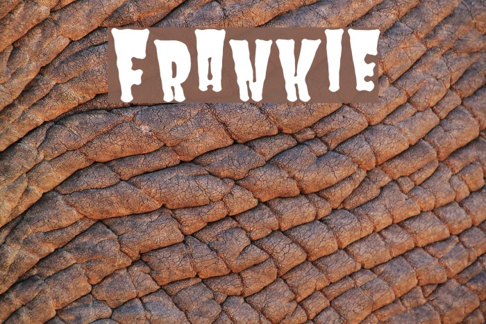 Frankie Шрифта examples