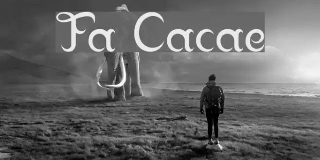 Franklin Cascaes Font examples