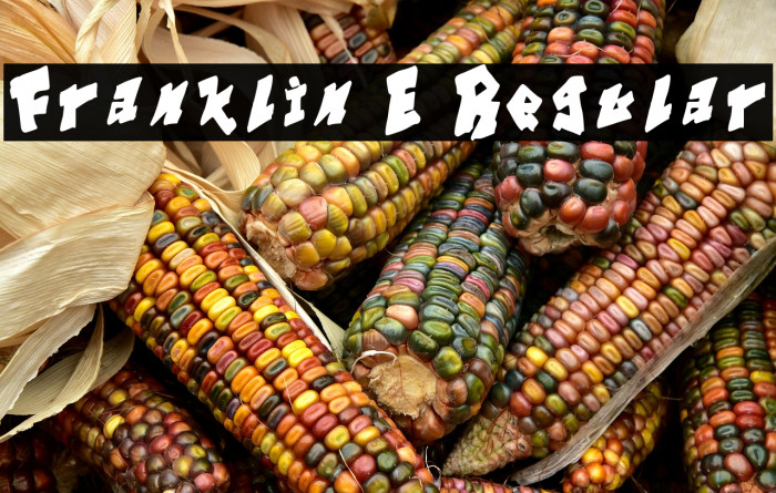 Franklin E Regular Example 3