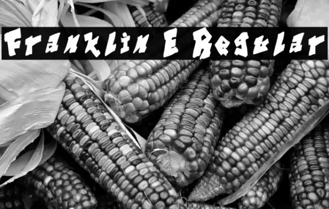Franklin E Regular Font examples