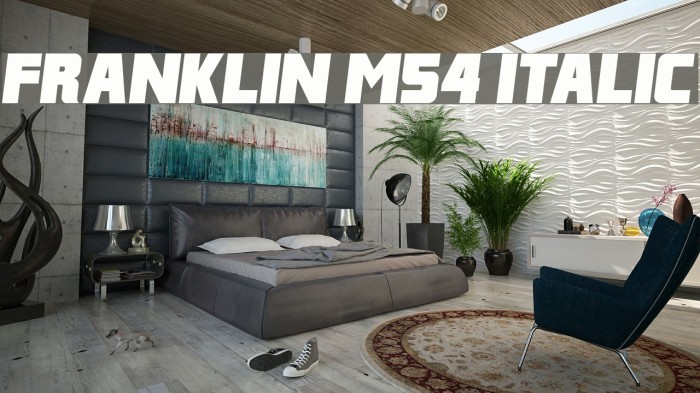 Franklin M54 Italic Font examples