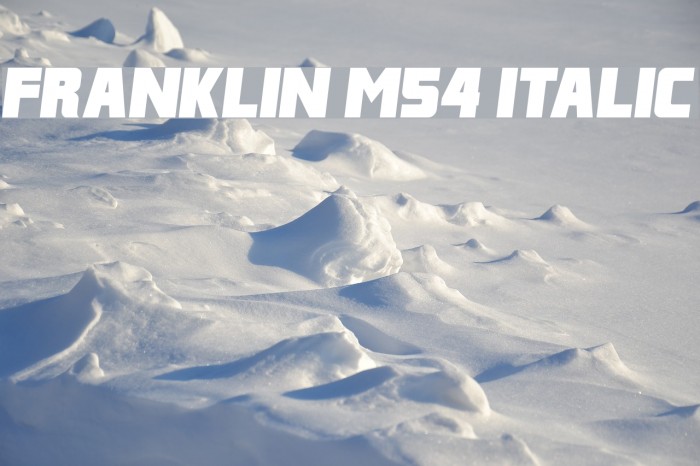 Franklin M54 Italic Font examples