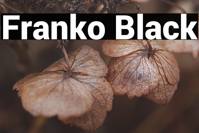 Franko Black Example 1