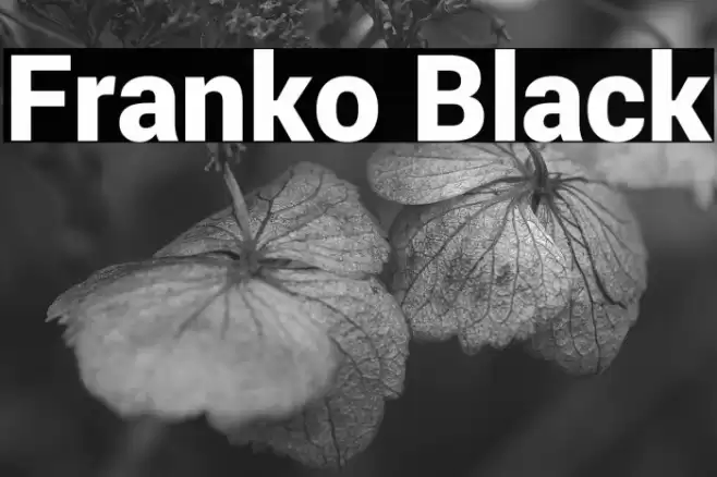 Franko Black Font examples