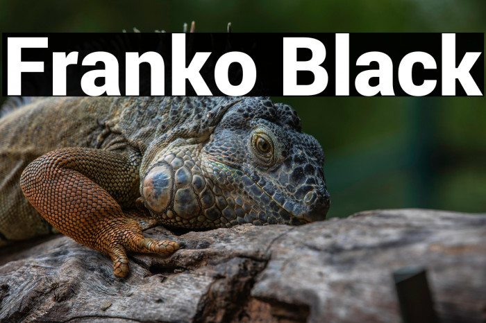 Franko Black Example 2